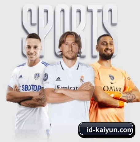 五大服务分区,信息按项目分类（kaiyun）