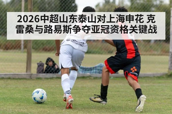 2026中超山东泰山对上海申花 克雷桑与路易斯争夺亚冠资格关键战 | kaiyun