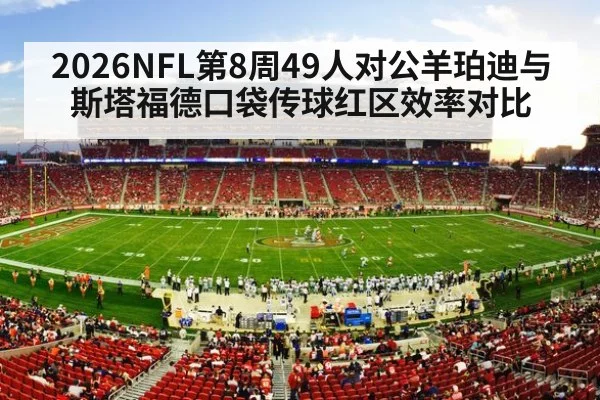 NFL stadium crowd night game